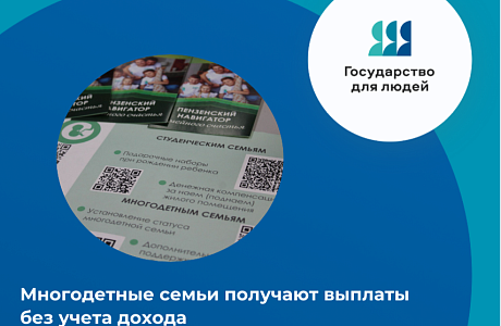 Для многодетных семей Пензенской области не применяется критерий нуждаемости